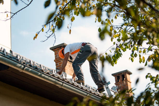 Best Flat Roof Repair Services  in Forest View, IL